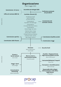 Organigramma Procap in formato PDF