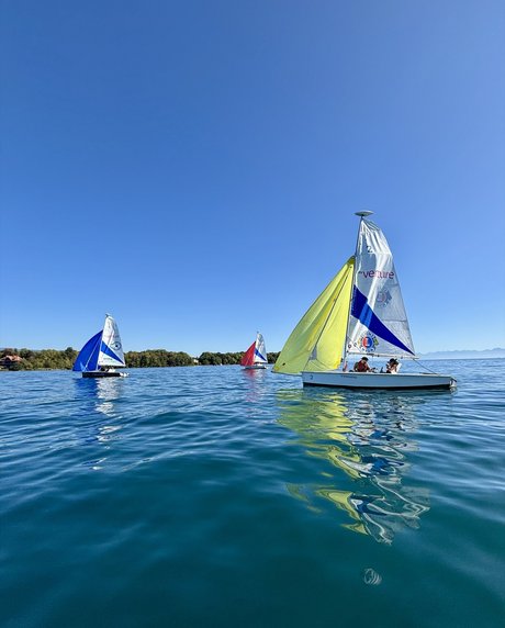 Plusieurs voiliers sur le lac
